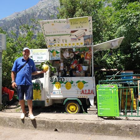 Apartament Nino'S In Nocelle Positano Zewnętrze zdjęcie