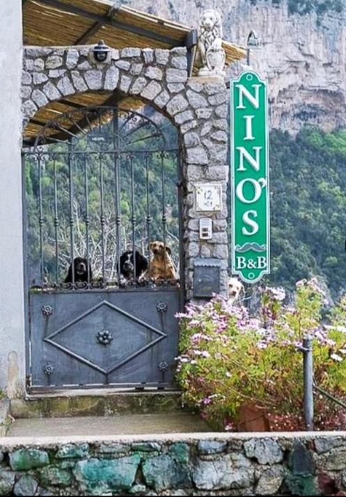 Apartament Nino'S In Nocelle Positano Zewnętrze zdjęcie